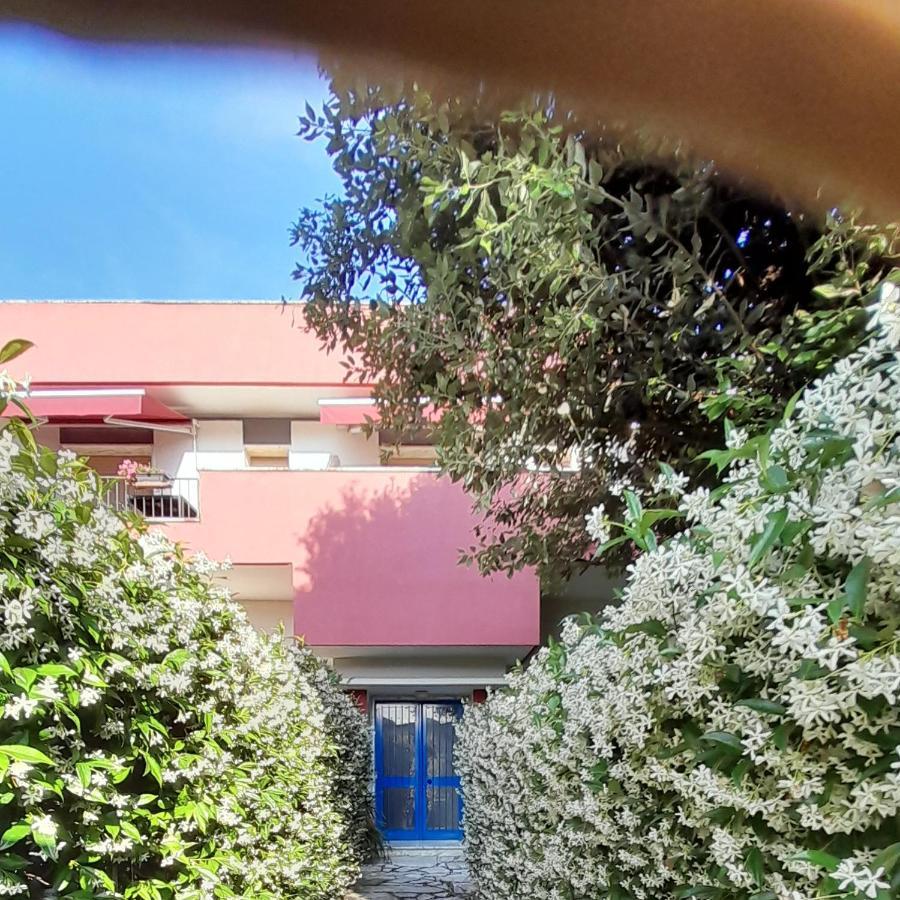 פיאטרה סנטה Appartamento Ornello מראה חיצוני תמונה